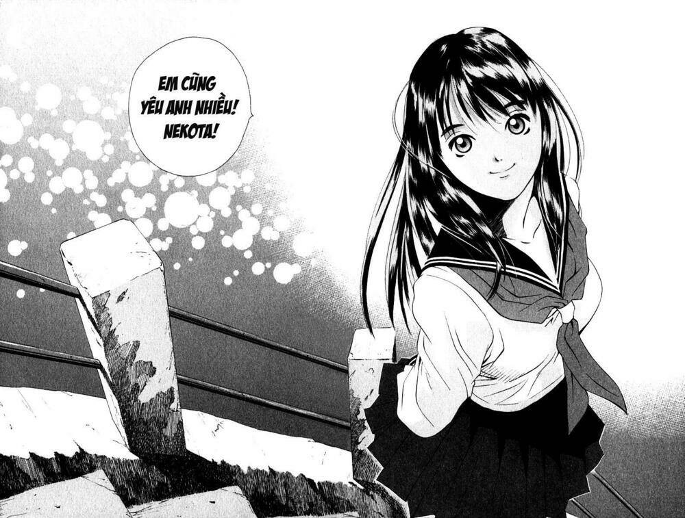 parallel chapter 19 43