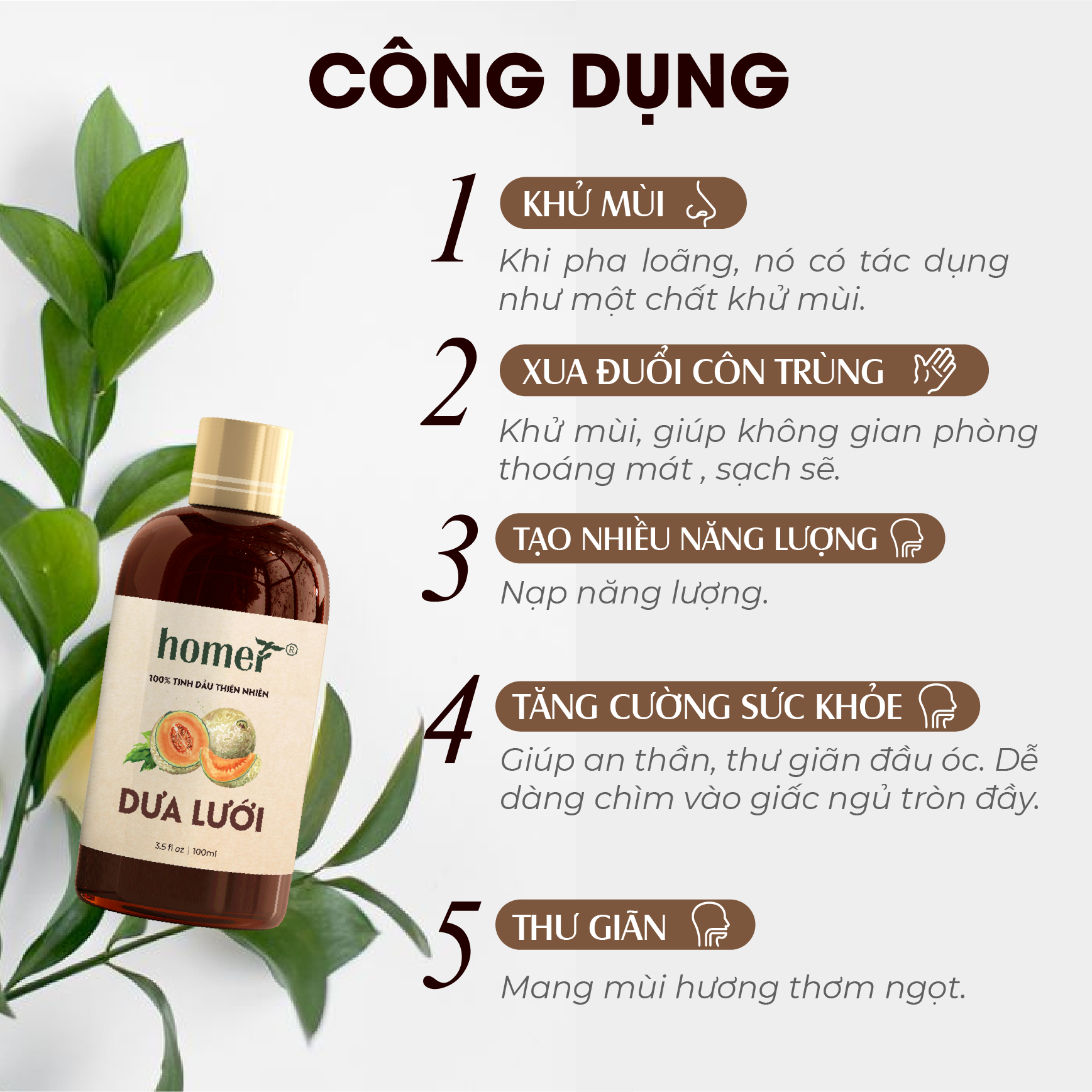 Tinh Dầu Thơm Phòng Trái Cây Thiên Nhiên - Xông Thơm Phòng, Khử Mùi - Tinh Dầu Đào/ Xoài/ Táo Xanh/ Chuối/ Dưa Hấu/ Dưa Lưới/ Me (20ml)