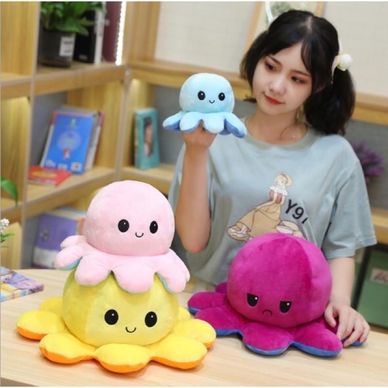 Bạch tuộc cảm xúc, bạch tuộc siêu quạo size to nhất 70cm