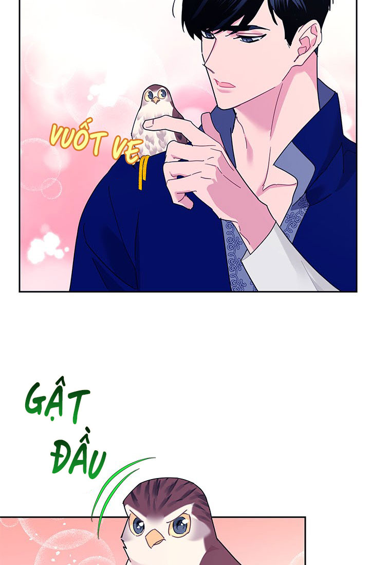 công chúa của loài chim chapter 36.2 18