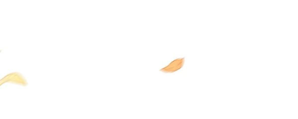 chiếm hữu trái tim bạo chúa chapter 11.2 21