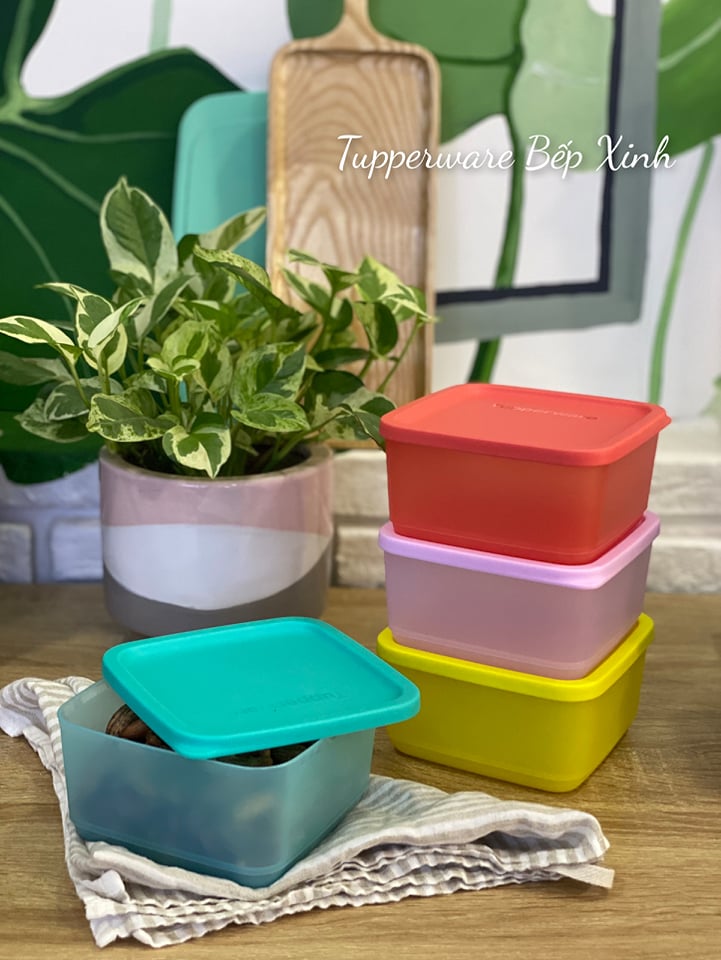 Bộ hộp bảo quản thực phẩm Small Square Round