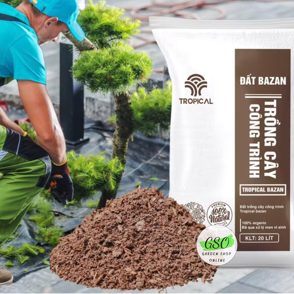 Đất trồng cây công trình Tropical Bazan