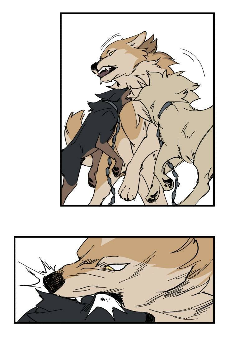 lumine - cội nguồn ánh sáng chapter 151 3