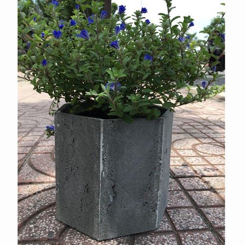 Chậu hoa đá ong xám 100% tự nhiên hình lục giác 20x20x20cm