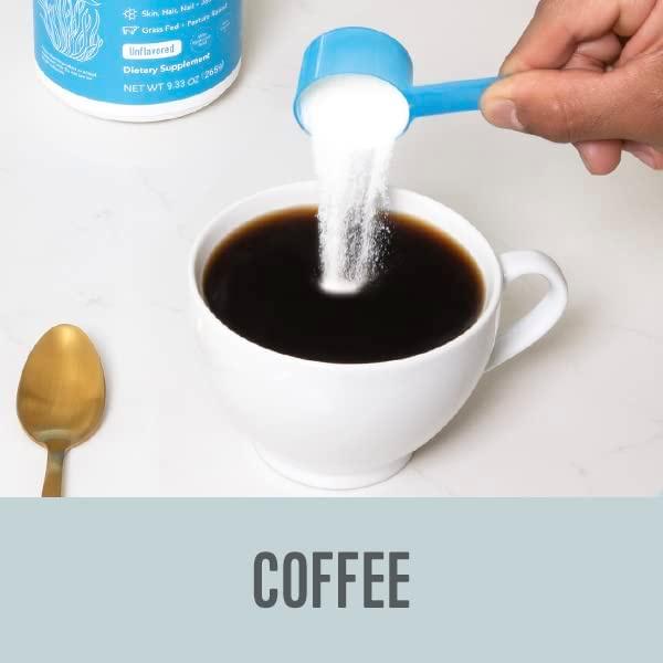 BỘT COLLAGEN PEPTIDES - ĐẸP & KHỎE DA MÓNG TÓC XƯƠNG KHỚP Vital Proteins KHÔNG VỊ Unflavored