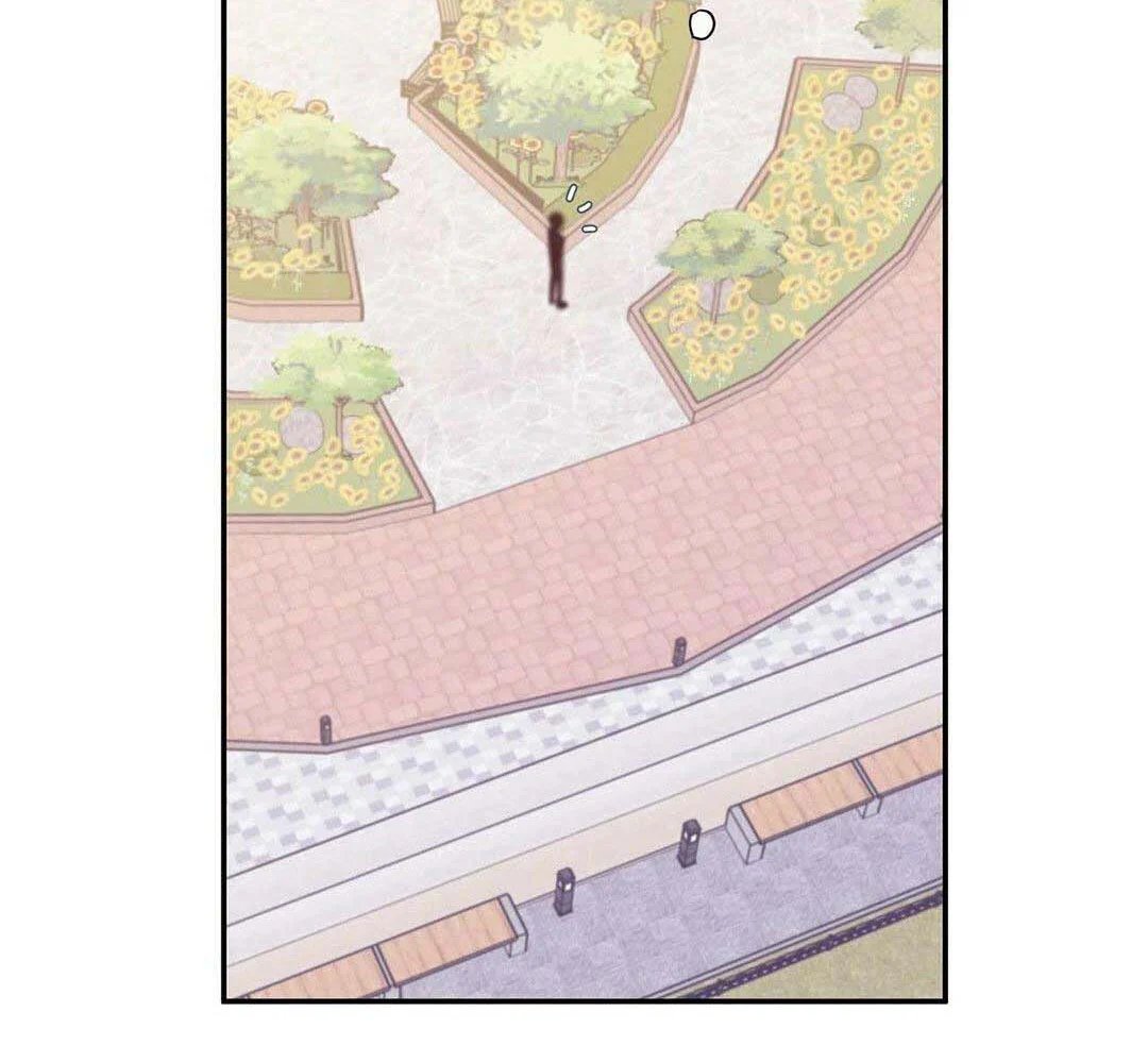 guide cấp b chapter 8 27