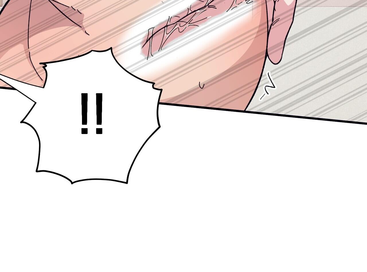 chàng dâu nhà họ kang chapter 44 83