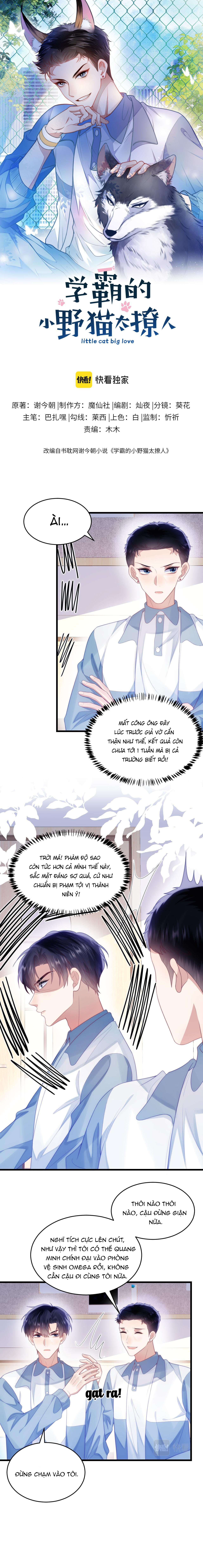 mèo hoang nhỏ của học bá quá chọc người rồi chapter 40 1