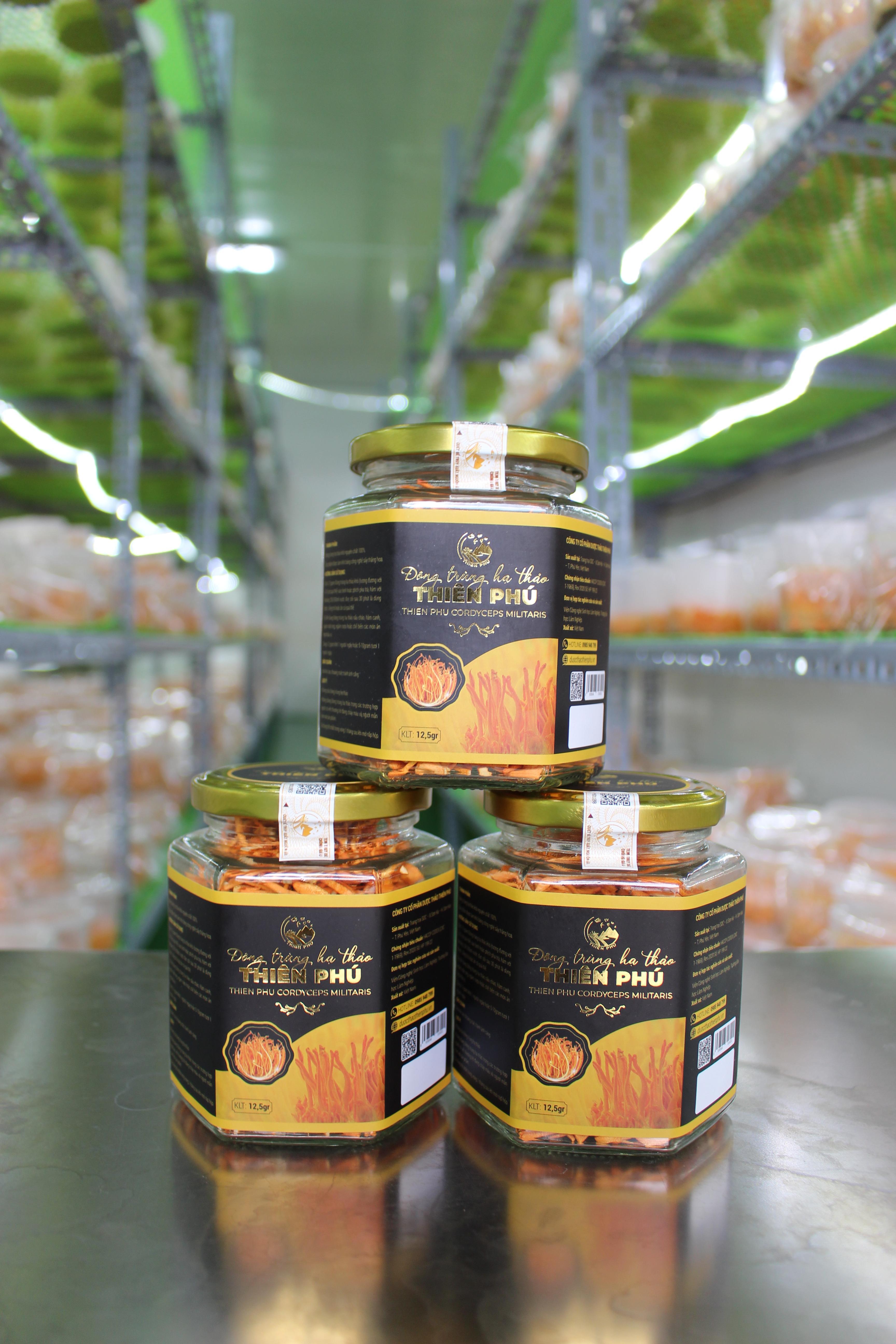 Đông trùng hạ thảo sấy thăng hoa- 12,5g