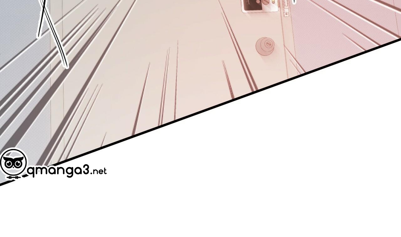 những chú thỏ của hapypy chapter 53 211