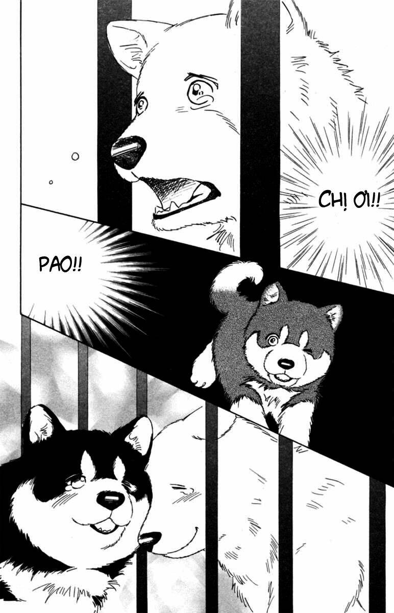 deep love - pao no monogatari chapter 5 13