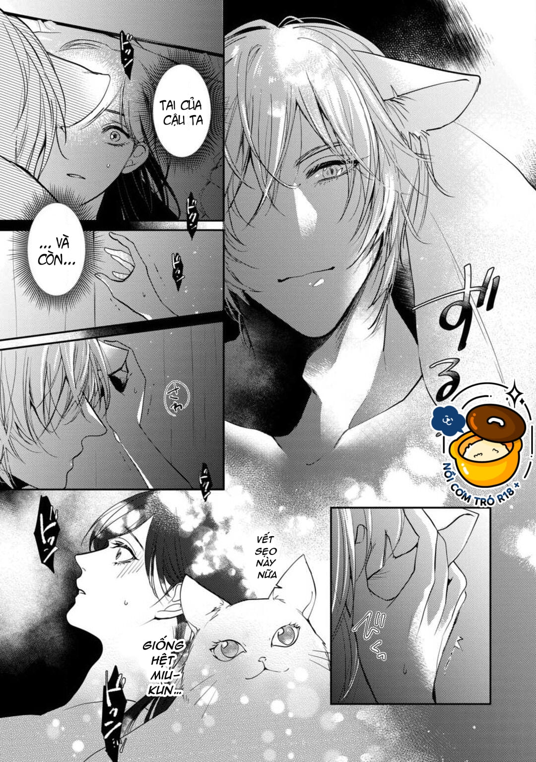 bạn trai mèo trắng của tôi chapter 1.2 9