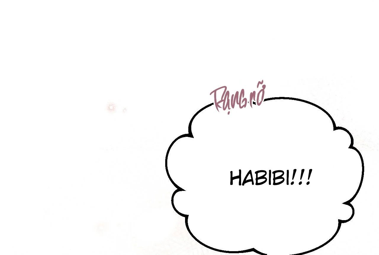 những chú thỏ của hapypy chapter 65 150