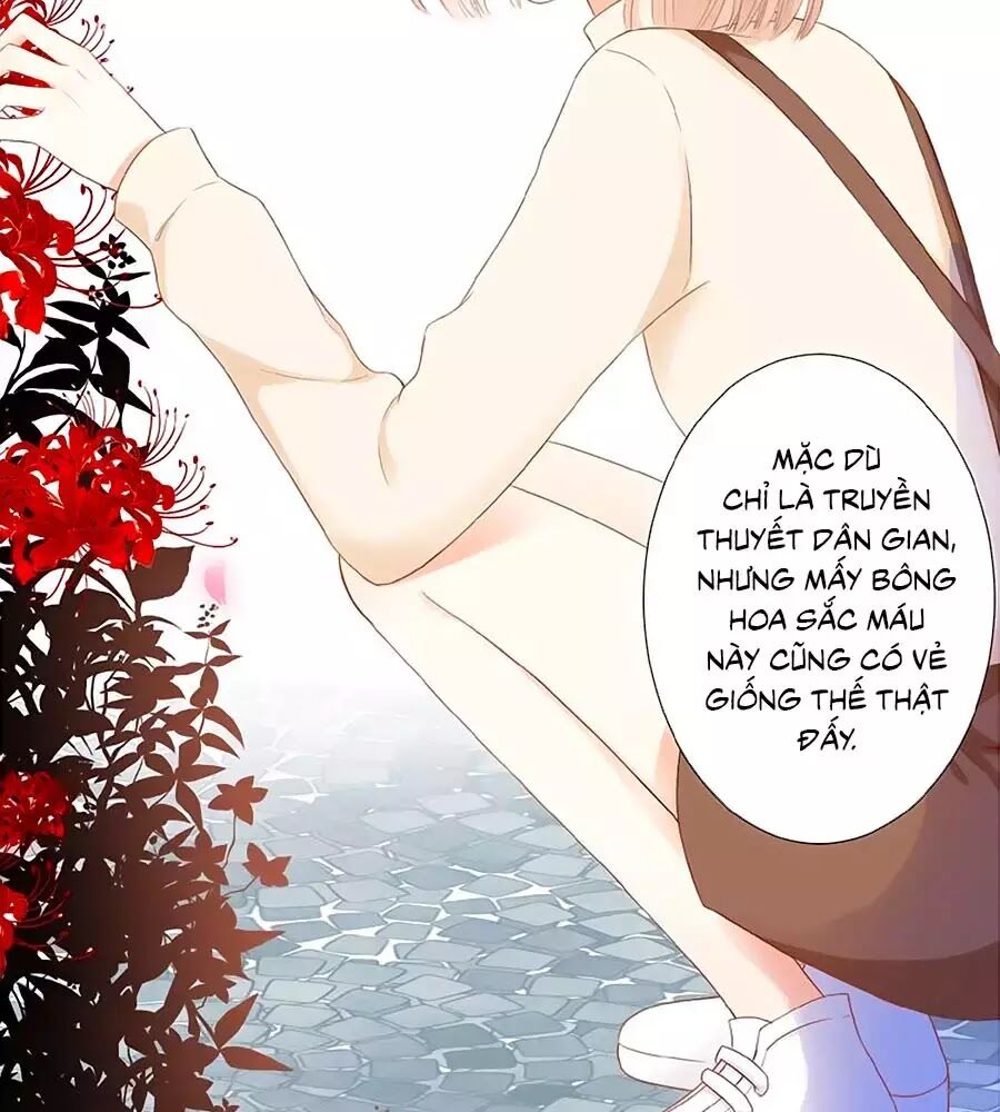 hoa chưa nở rộ chapter 21 10