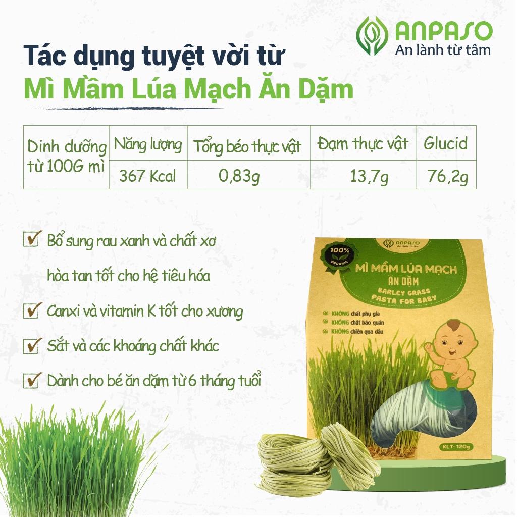 Mì Ăn Dặm Cho Bé Hữu Cơ Mầm Lúa Mạch Organic Anpaso BLW, kiểu Nhật từ 7 tháng bổ sung chất xơ, cải thiện táo bón 120g