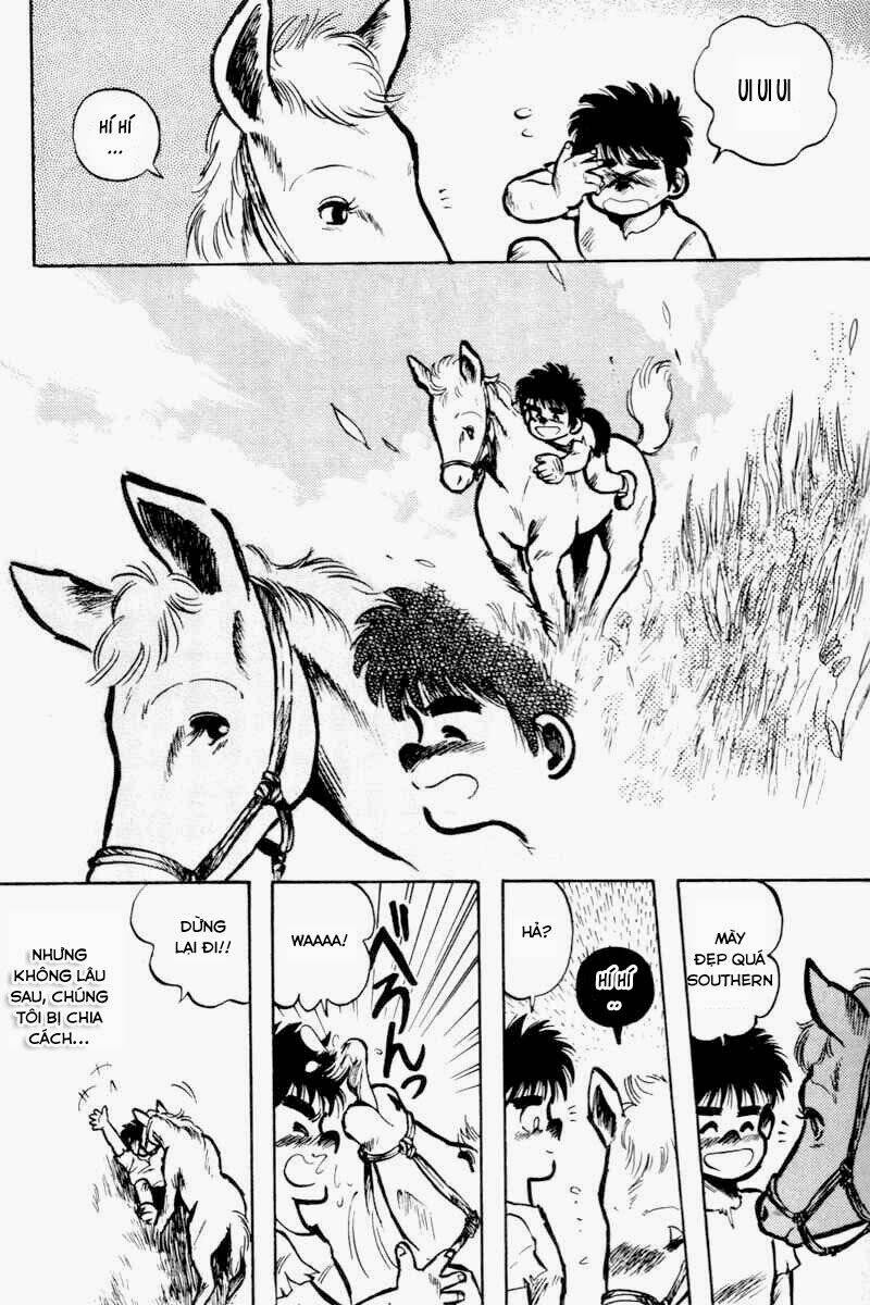 kaze no sylphid - phong mã silphid chapter 1 23
