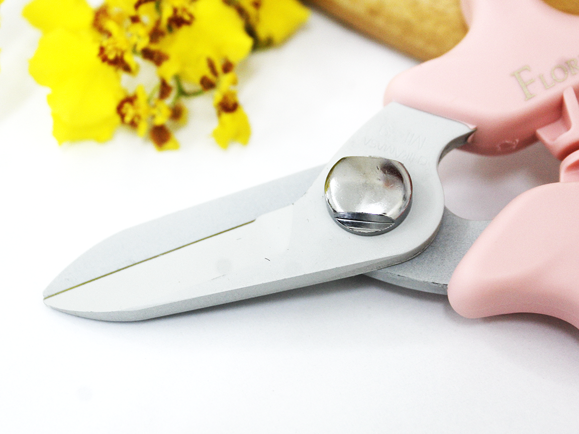 Kéo cắt hoa quả Chikamasa MF-9000P