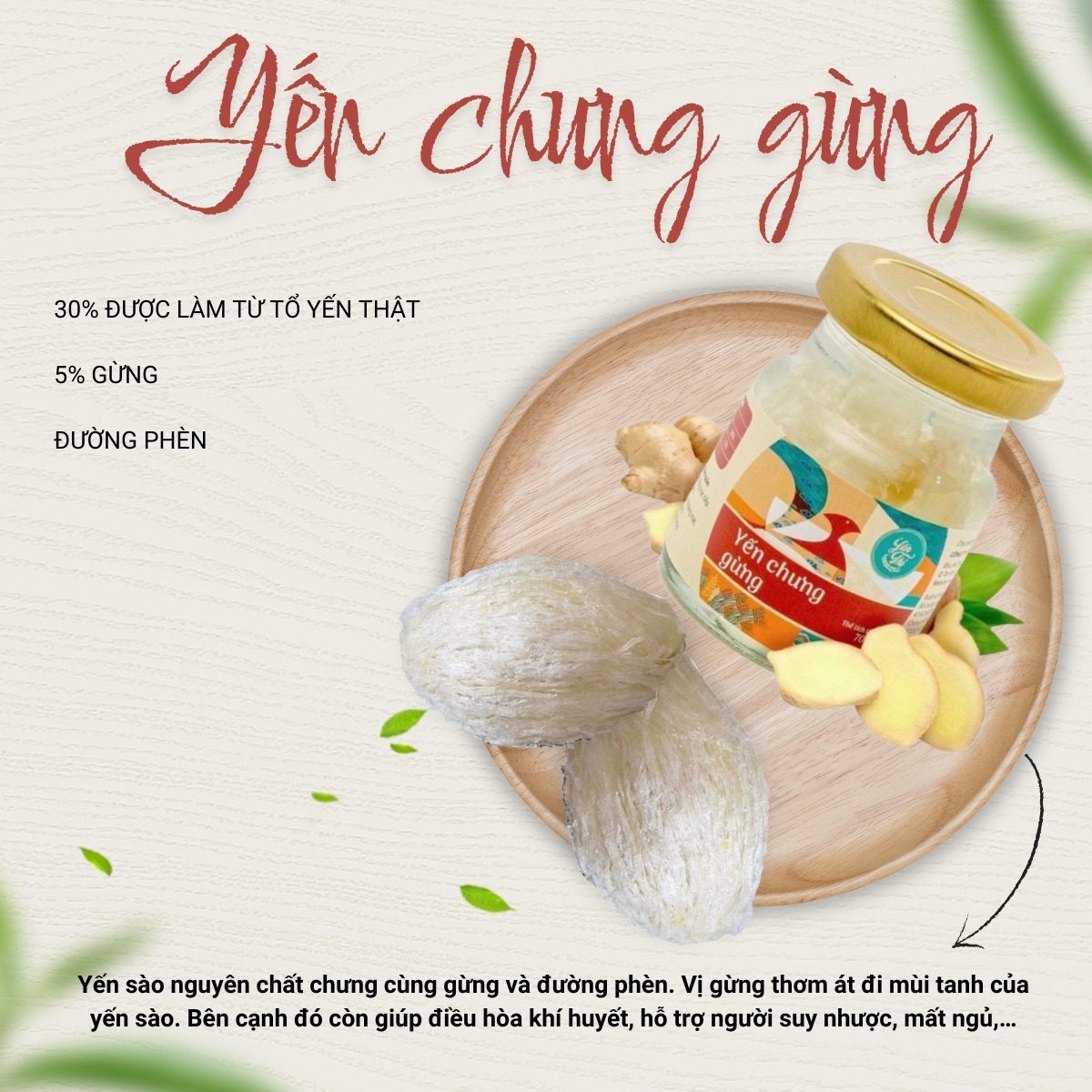 Yến Thị- Chưng Vị Gừng-30% Yến- Quà Tặng