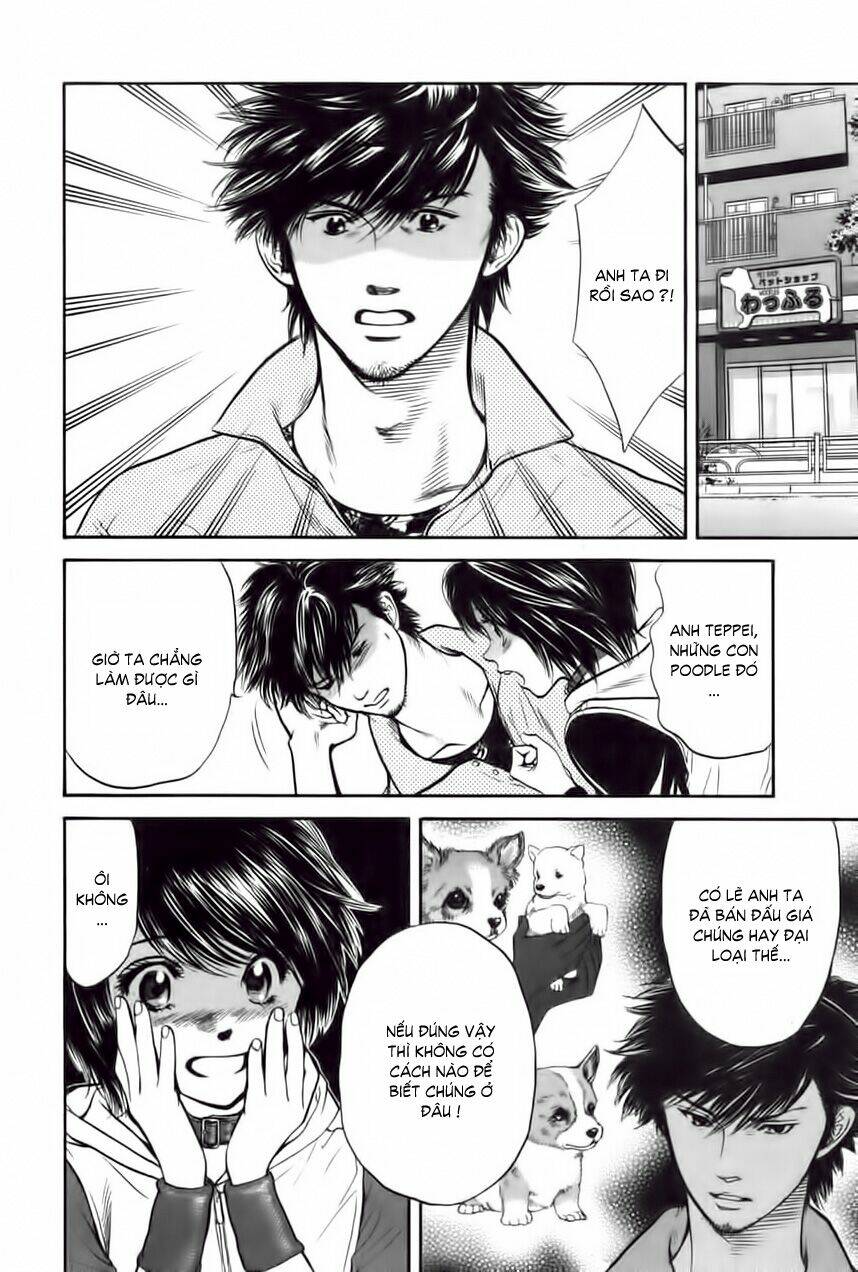 cô nàng yêu chó chapter 29 14