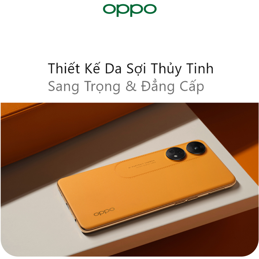 Điện Thoại Oppo Reno 8T 4G (8GB/256GB)