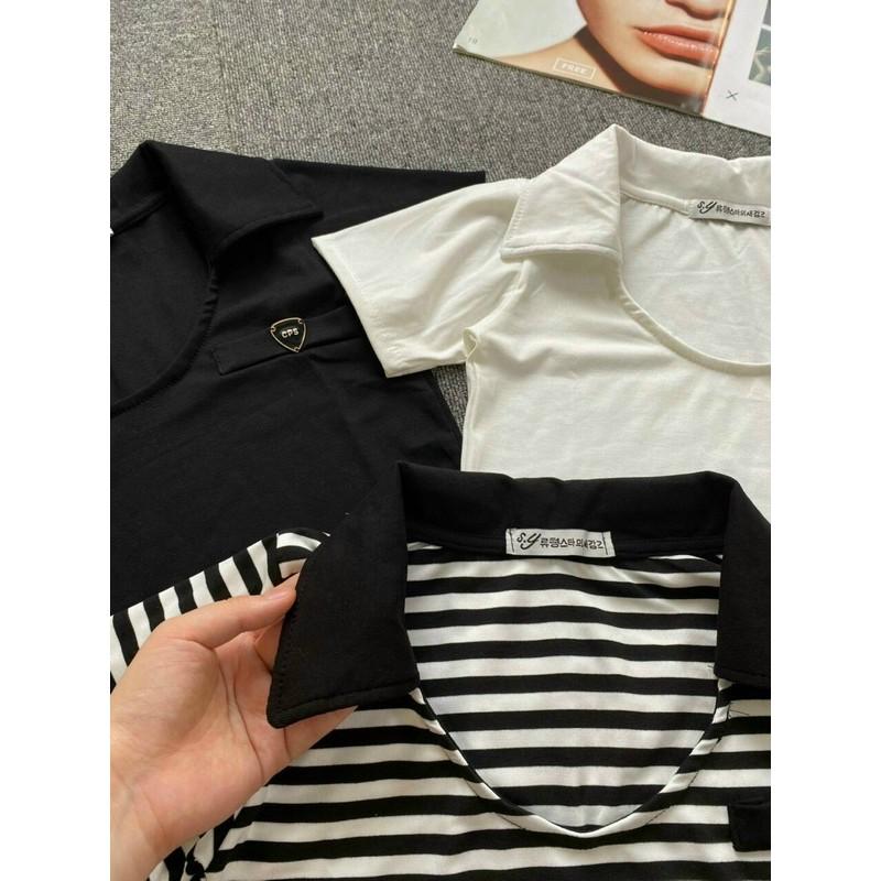 Áo croptop cổ bẻ mặc lên fom chuẩn mẫu hot 2021 ( 3 màu