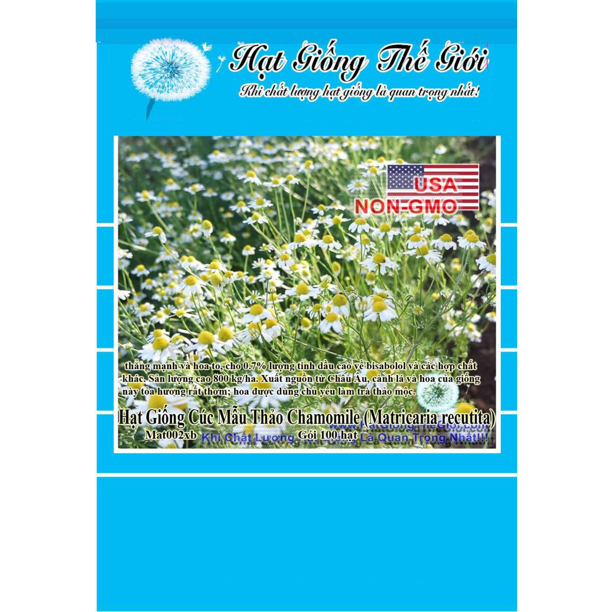 100h Hạt Giống Cúc Mẫu Thảo - Đức