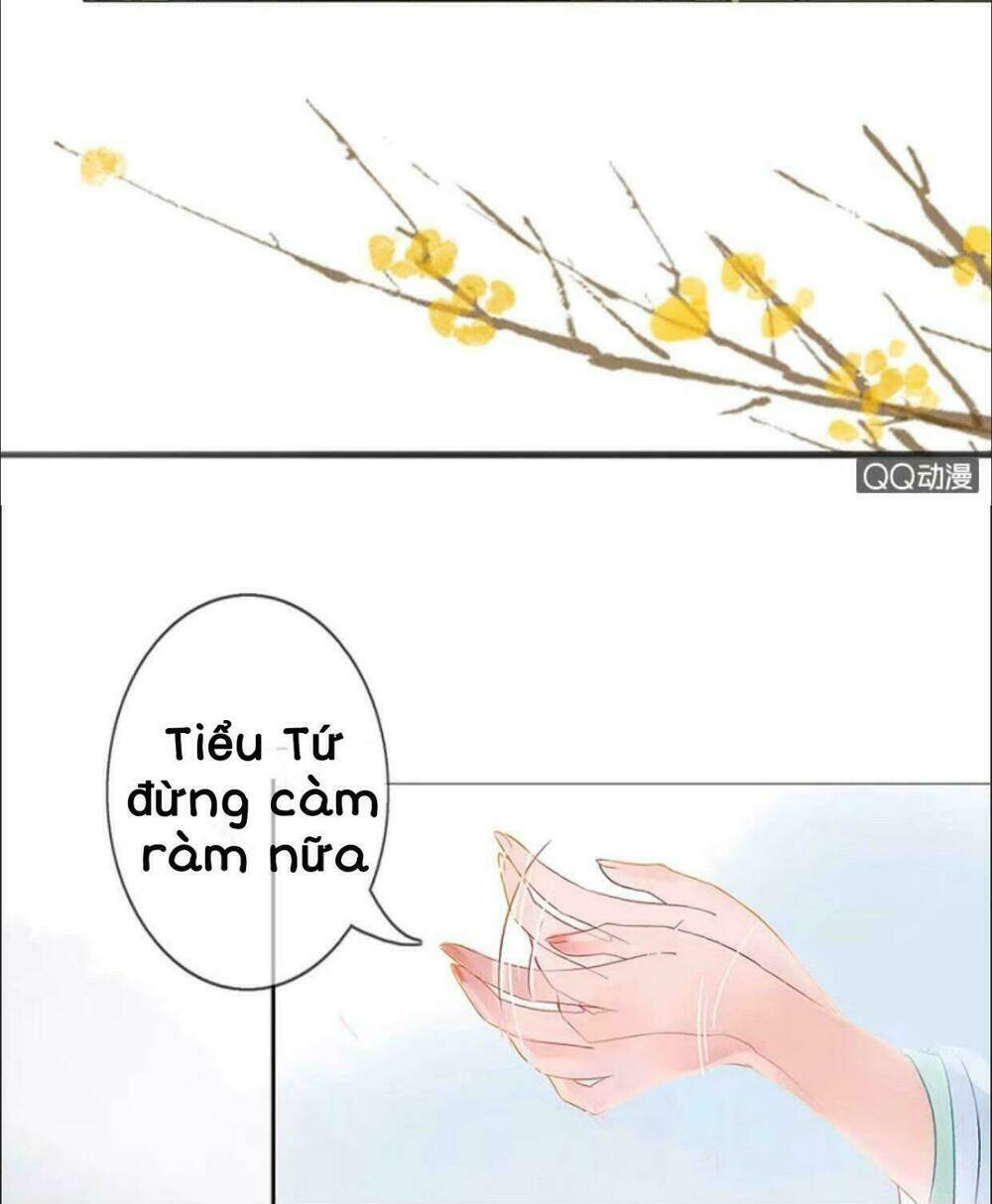 sủng phi của vương chapter 3 8