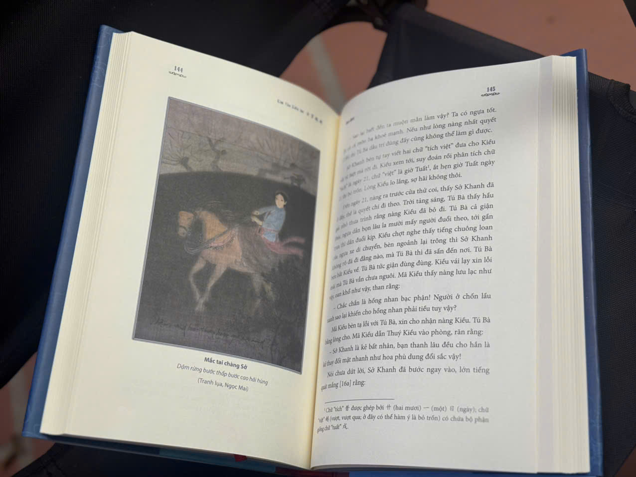 (Bìa cứng, có minh họa màu) KIM VÂN KIỀU LỤC 金 雲 翹 錄 1876 (Bản Cẩm Văn Đường lưu trữ tại Thư viện Đại học Leiden, Hà Lan) - Nguyễn Thị Sông Hương sưu tầm, giới thiệu; Dương Tuấn Anh dịch, chú giải – NXB ĐHSP