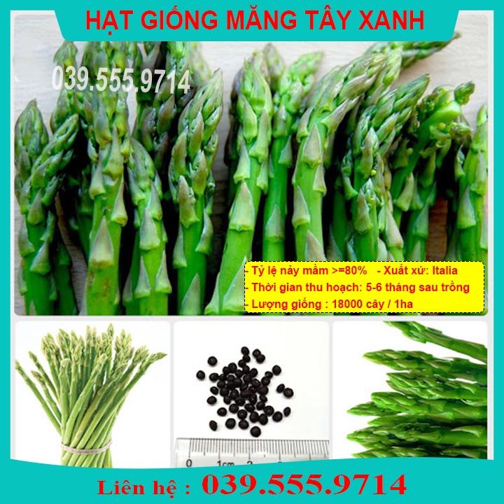 HẠT GIỐNG MĂNG TÂY XANH F1 - NĂNG SUẤT CAO