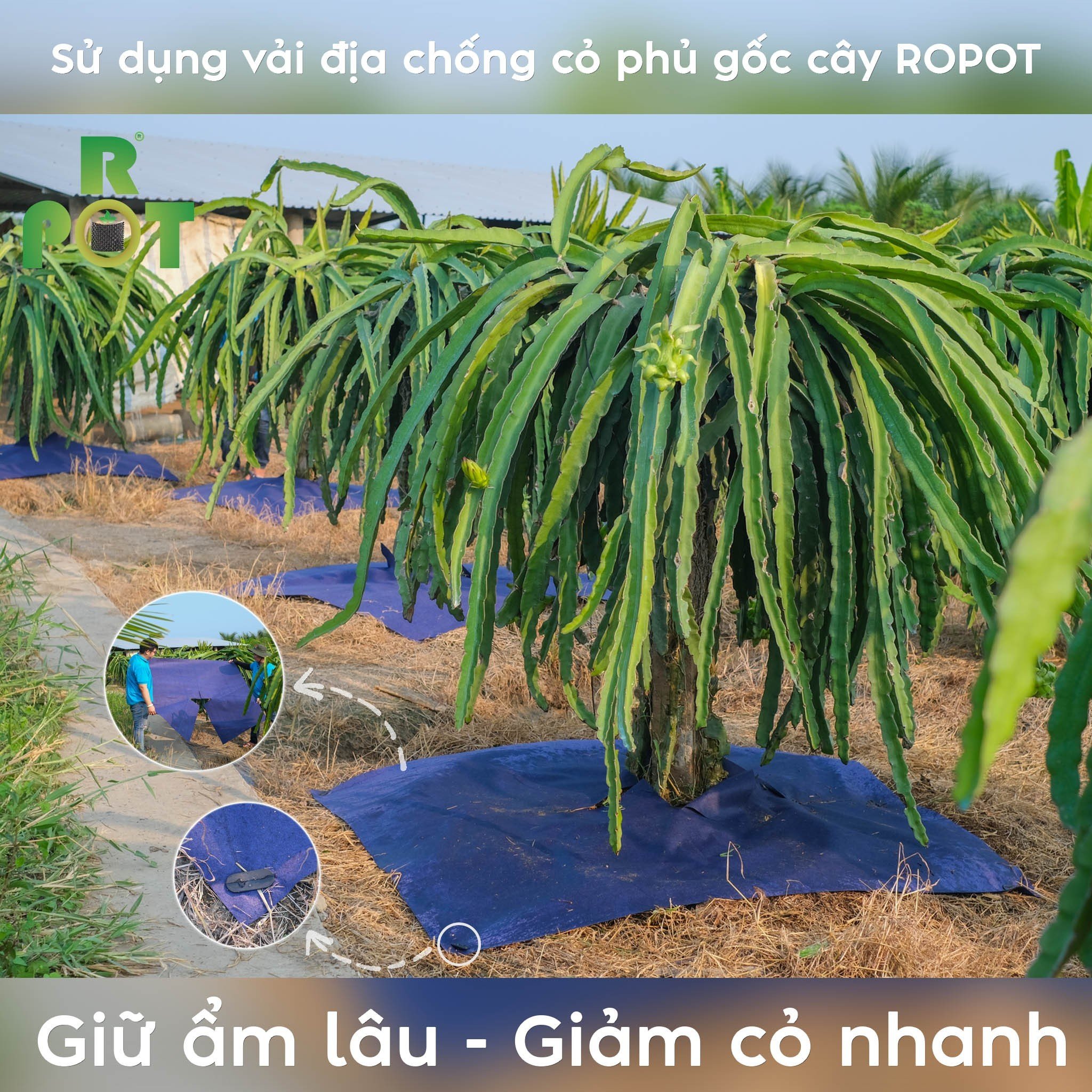 Tấm Vải Phủ Gốc Cây 1.5m x1.5m - Combo 5 tấm