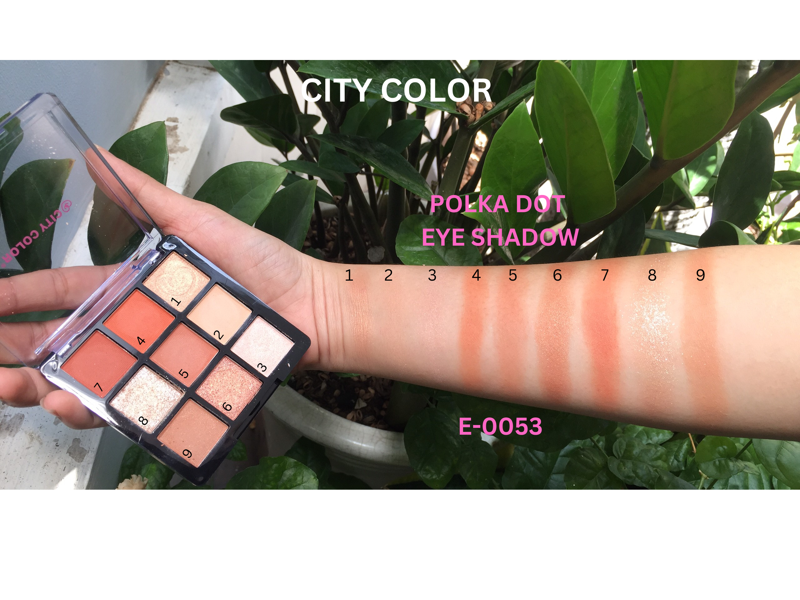 Phấn mắt CITY COLOR Polka dot