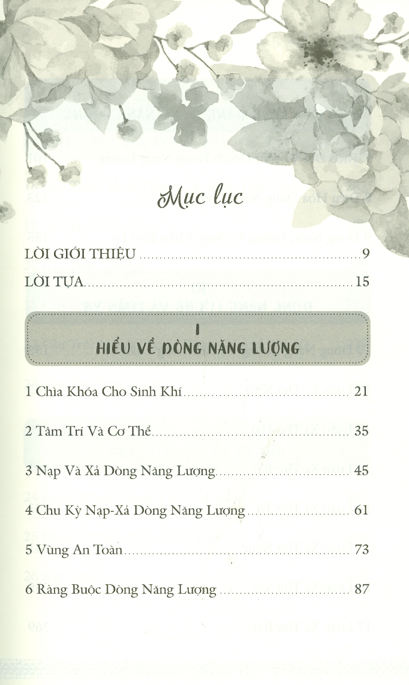 DÒNG NĂNG LƯỢNG SINH KHÍ - CHARGE AND THE ENERGY BODY