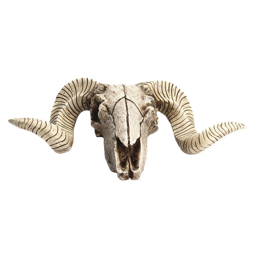Resin Art Wall Decor Mount Decoration Skull Sheep's head Head