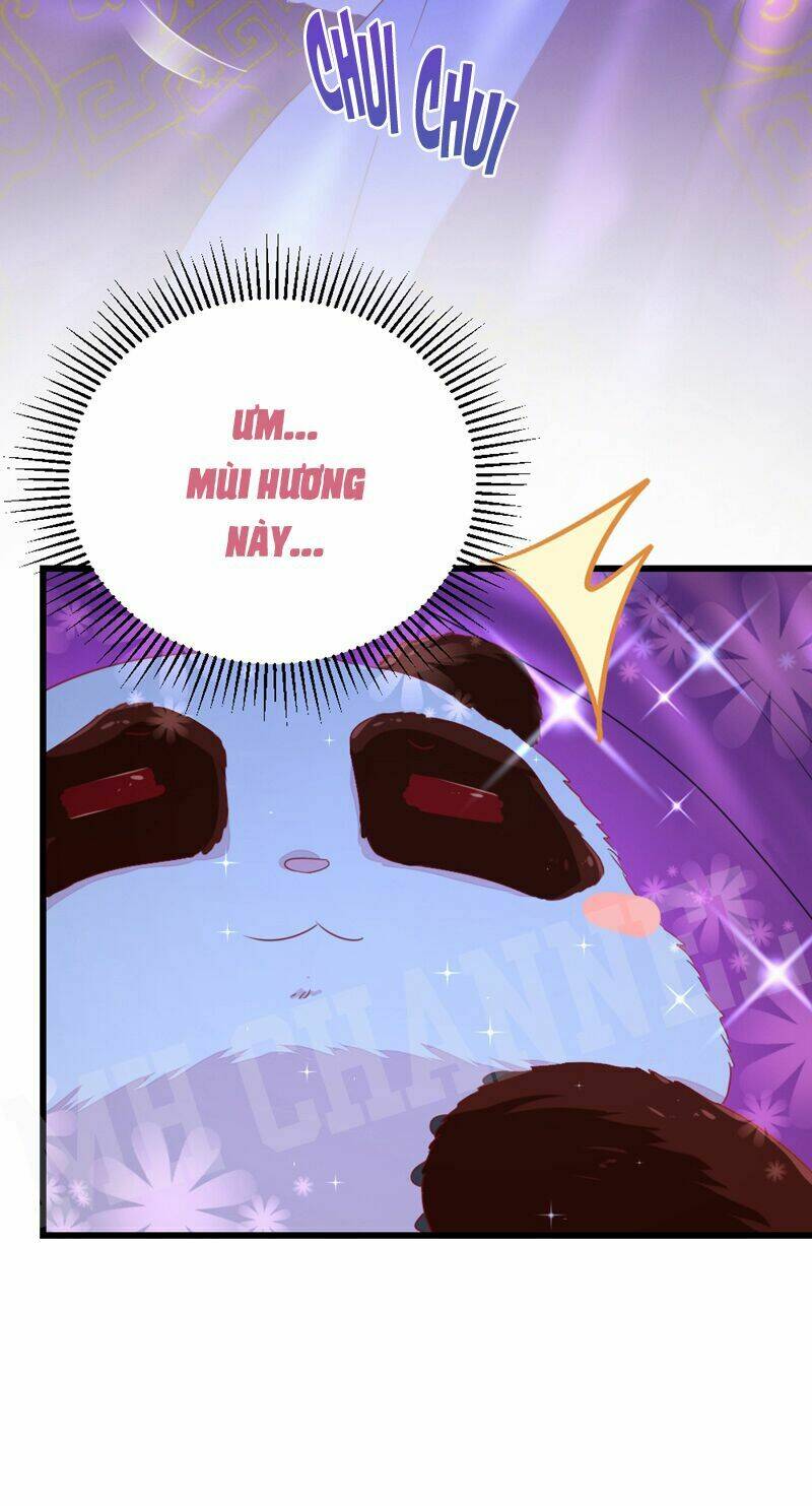 thiên thần gấu trúc muốn được ôm chapter 16 10