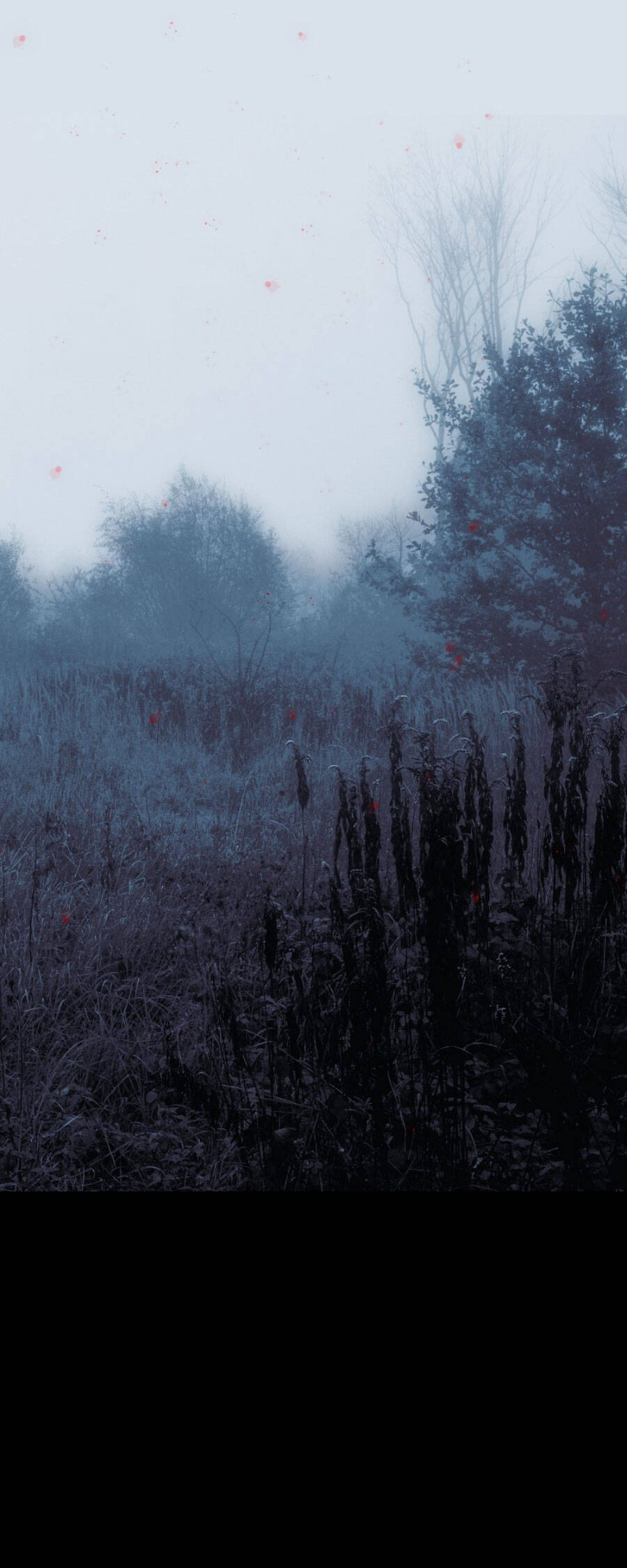 tử thần chapter 74 3