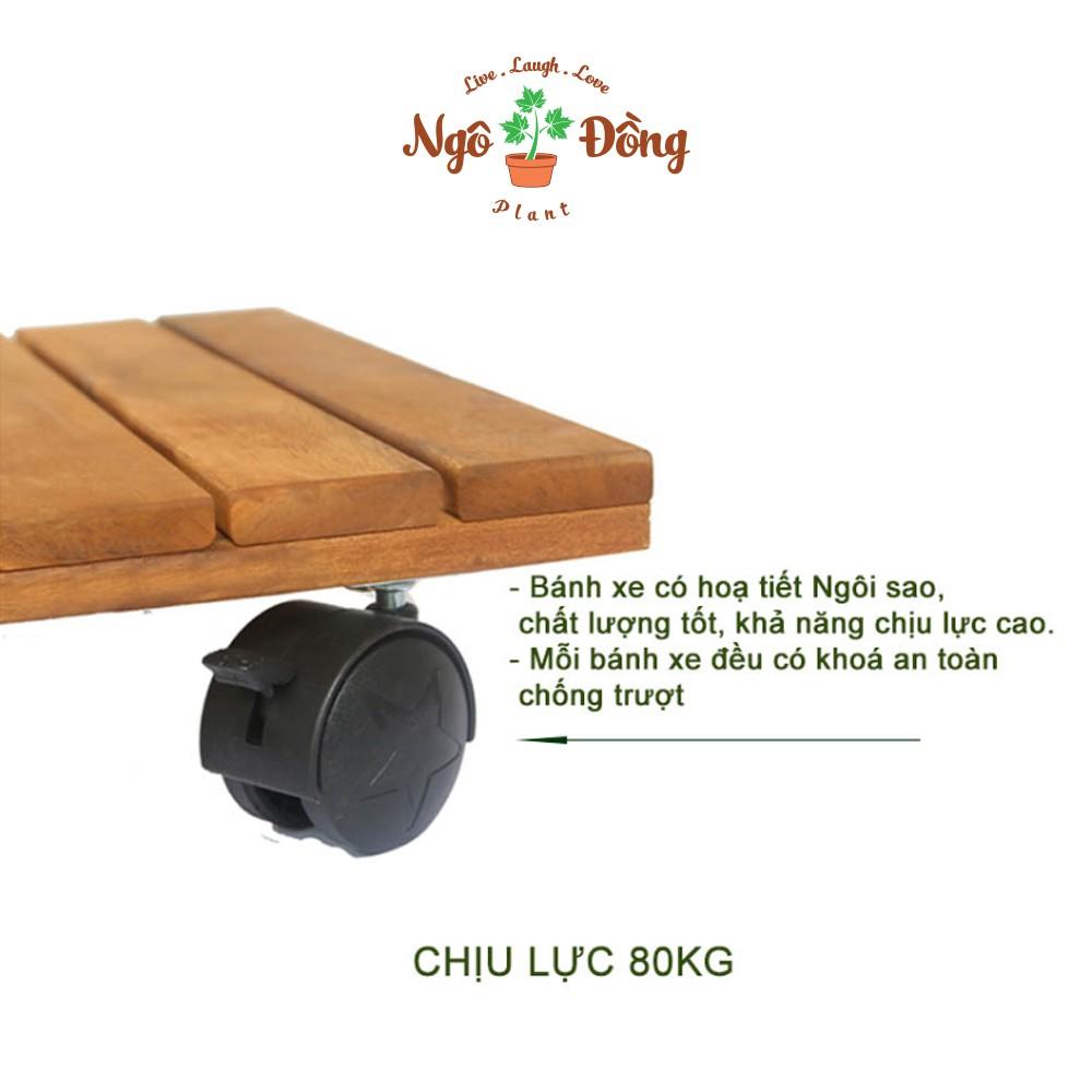 Combo 1 Đế Lót Chậu Cây Hình Vuông Có Bánh Xe An Toàn Chịu Lực 80kg và 1 Đôn Kê Chậu Hoa 2 Tầng Trang Trí