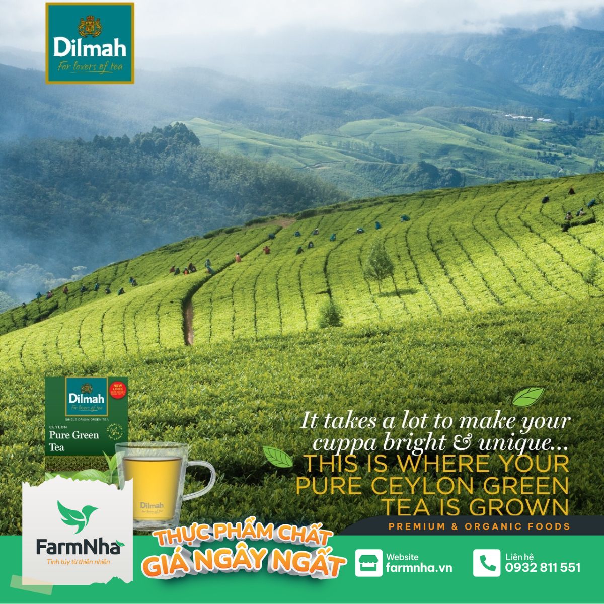 Trà Dilmah Earl Grey túi lọc 30g 20 túi x 1.5g - Tinh hoa trà Sri Lanka