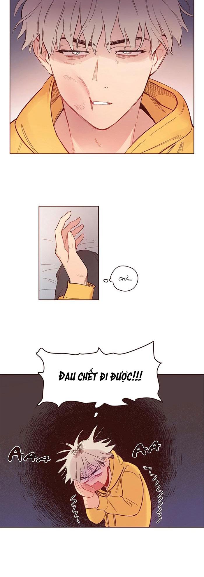 love me dramatically chapter 5 2