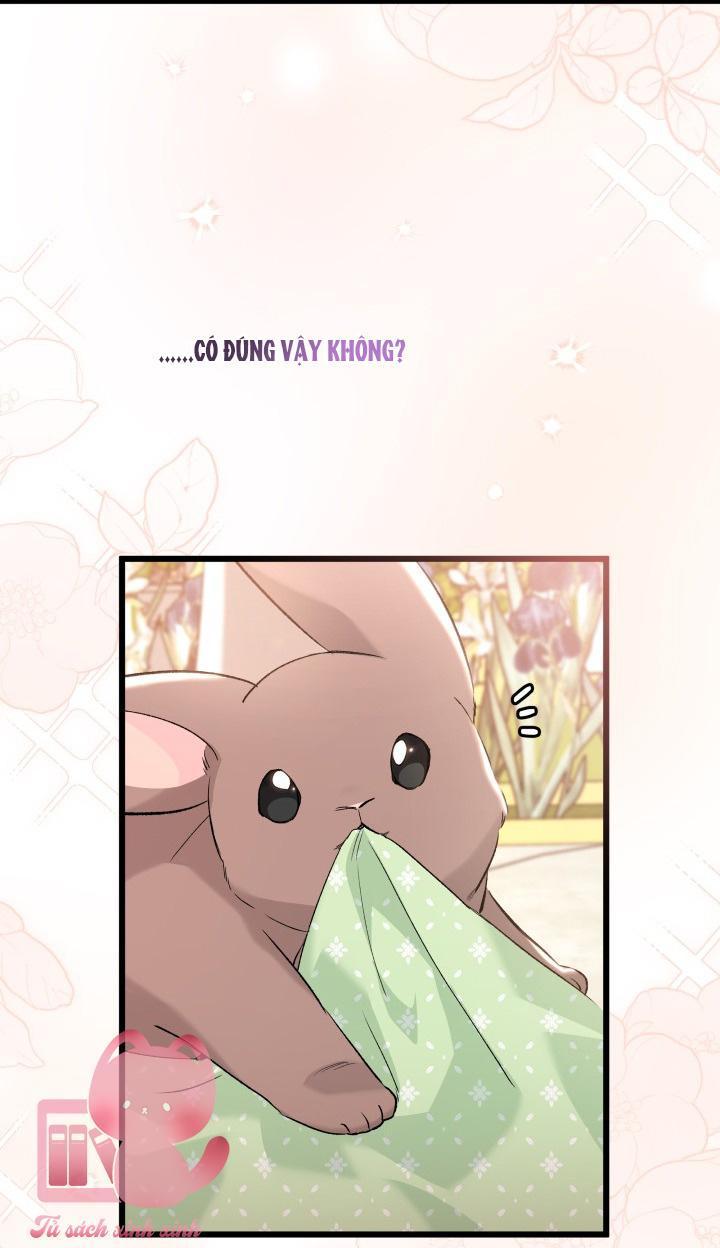 quan hệ cộng sinh giữa báo đen và thỏ trắng chapter 75 63