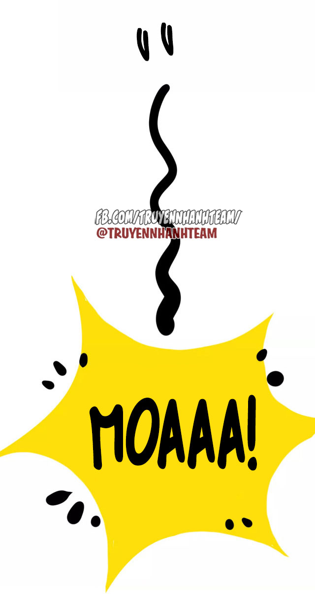 xã hội mèo chapter 1 40