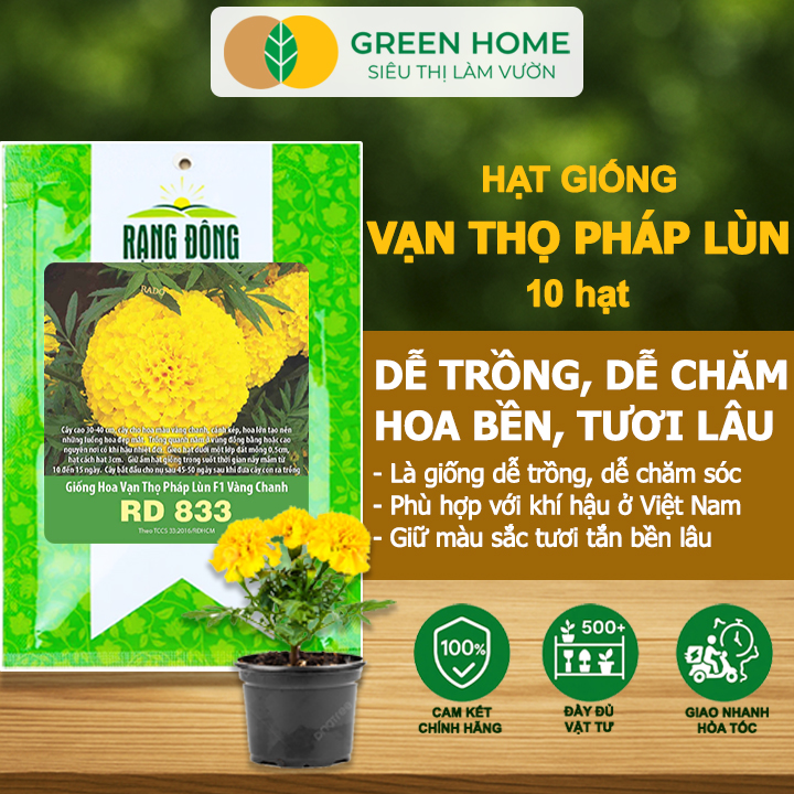 Hạt Giống Hoa Vạn Thọ Pháp Lùn F1 Vàng Chanh GreenHome, Gói 10 hạt, Dễ Trồng Quanh Năm, Trồng Chậu H19