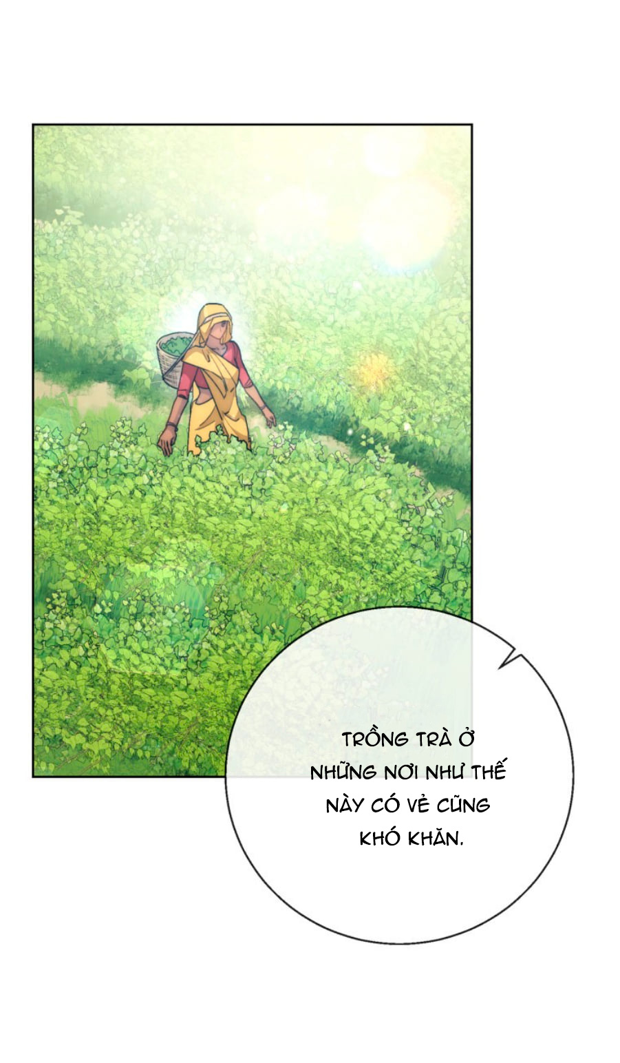 50 công thức pha trà của nữ công tước chapter 130 7