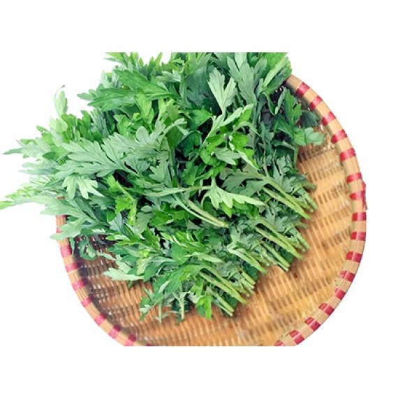 1kg cây ngải cứu tươi sạch hàng tuyển chọn loại 1, cây nhà trồng