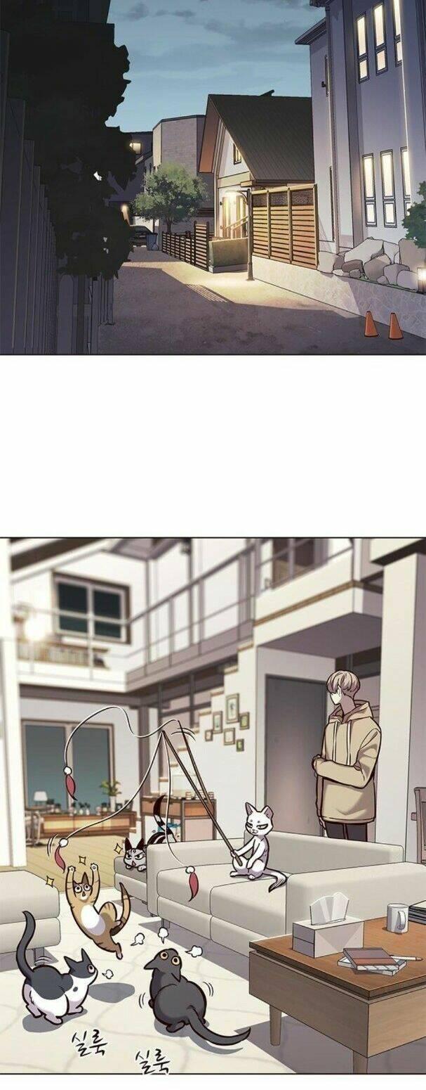 biến thân thành mèo chapter 182 14