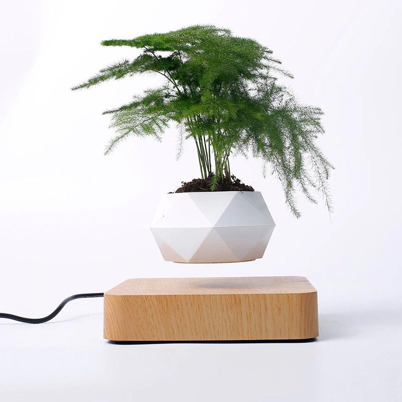 Chậu cây bay trang trí từ tính BonSai Bay Zero W Design