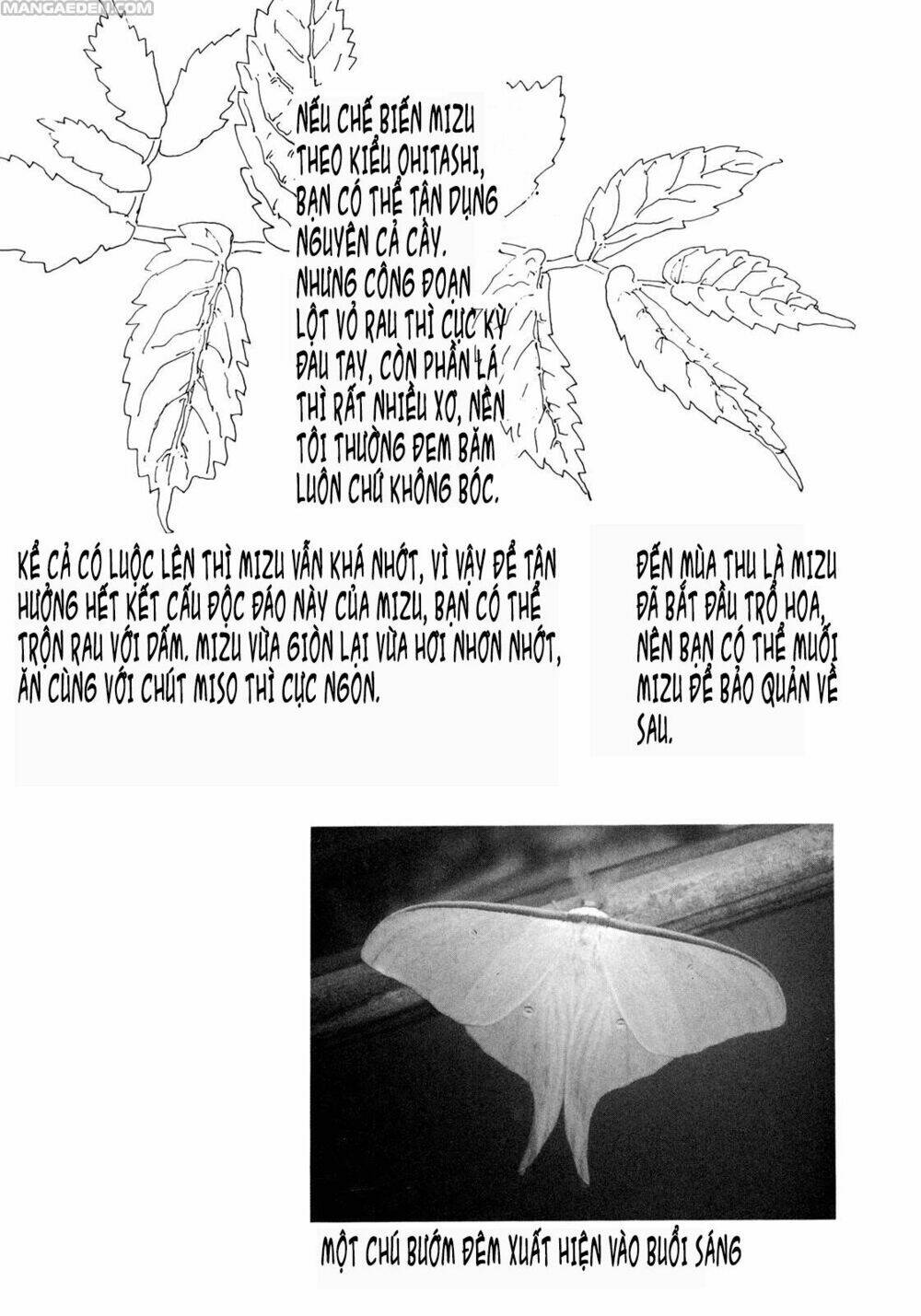 little forest chapter 11 9