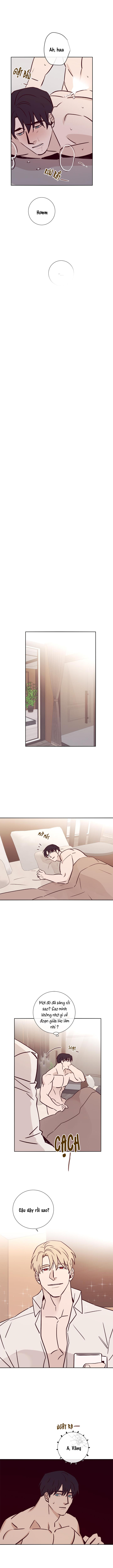 độc dược (marcel) chapter 17 8