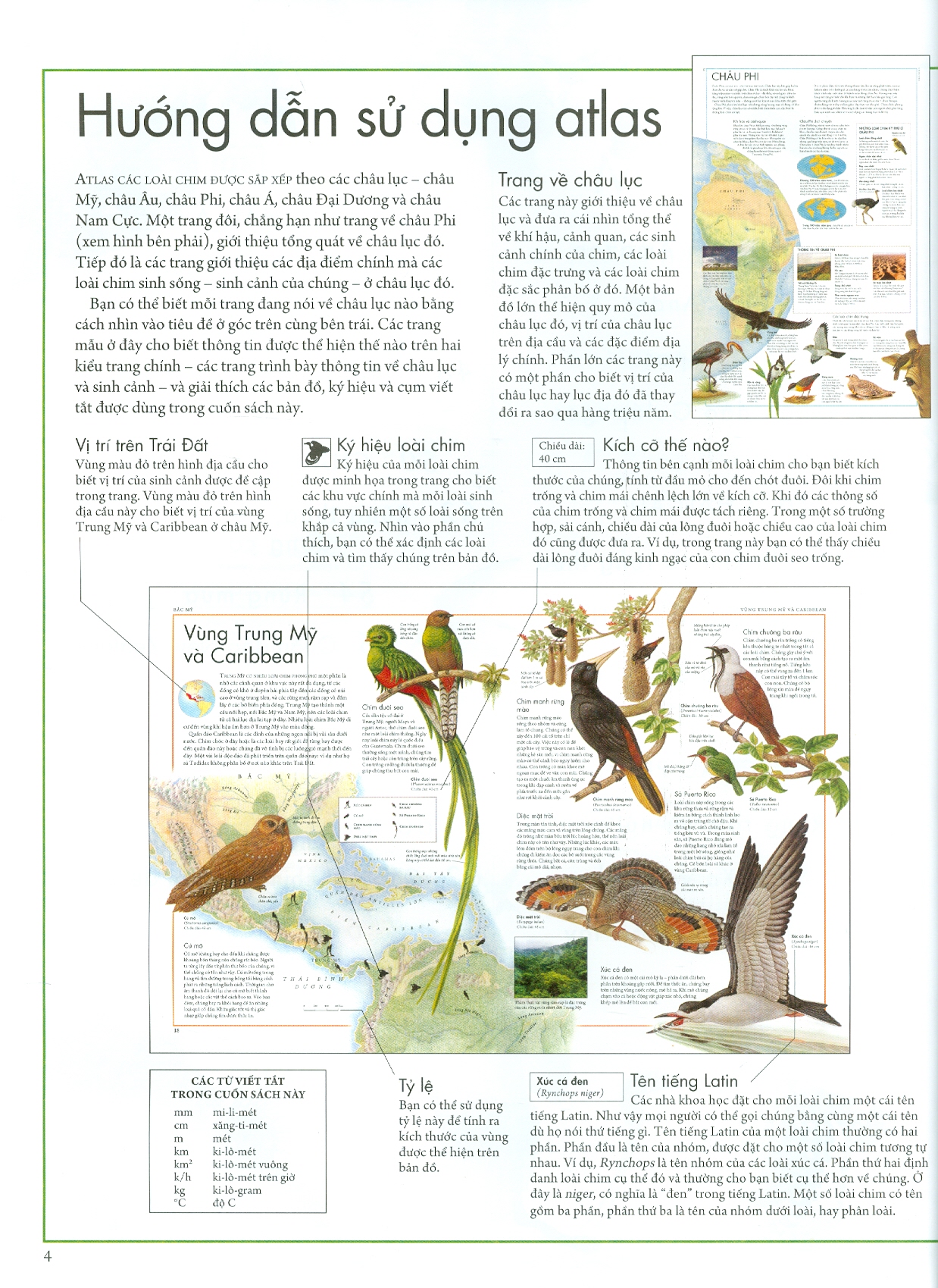 Atlat Động Vật - Bách Khoa Bằng Hình Về Các Loài Động Vật Hoang Dã Trên Thế Giới