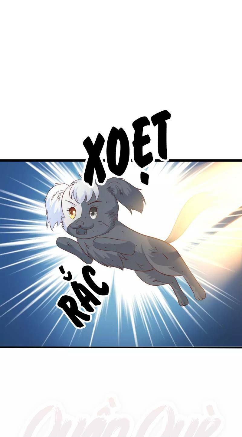 tối cường vận đào hoa chapter 81 17